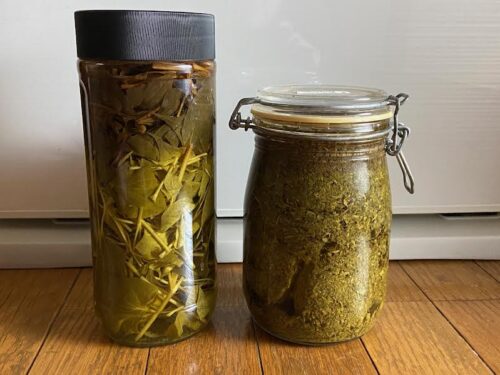 ドクダミ酒と搾りかすを仕込んだ二つの保存瓶の写真。自家製薬草酒と民間療法イメージ