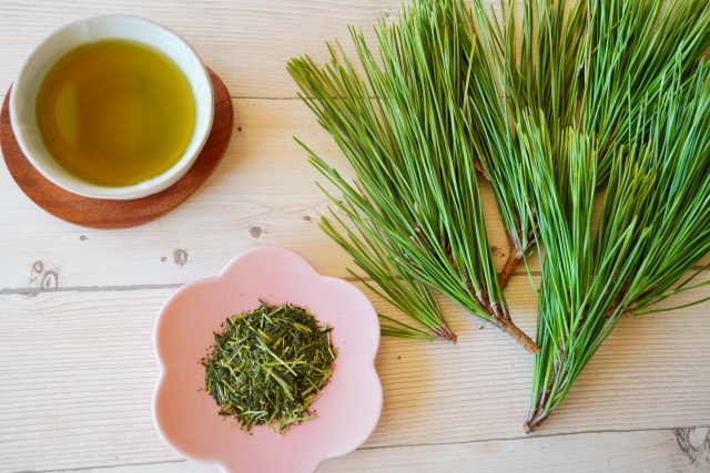 薬草療法で人気の生の松葉と抽出後の松葉茶。