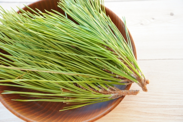 松葉茶 やめたらどうなる 松の葉 自然 健康習慣 変化 イメージ pine needle tea