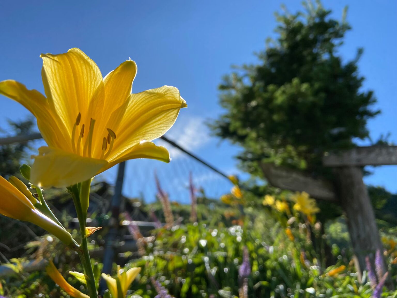 一人暮らしの独身女性がこれからの老後時代を生きるリアルな備え方