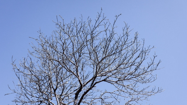 老後の資金計画をスタートさせて、いつか資産も芽吹かせたいイメージ画像